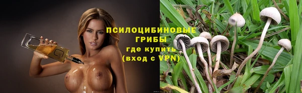 мяу мяу мука Абинск