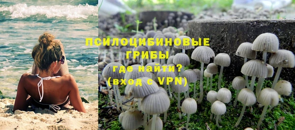 мяу мяу мука Абинск