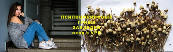 дурь Абдулино