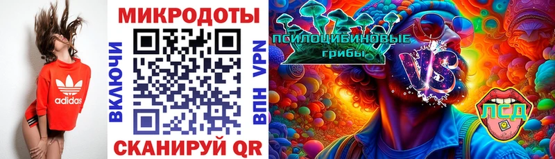 Галлюциногенные грибы GOLDEN TEACHER  купить наркотики сайты  Кировград 
